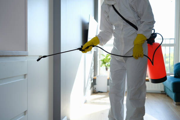 Professional Mold Removal in West Lafayette, IN